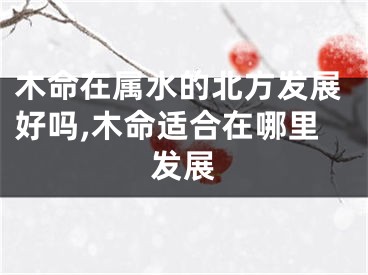 木命在属水的北方发展好吗,木命适合在哪里发展