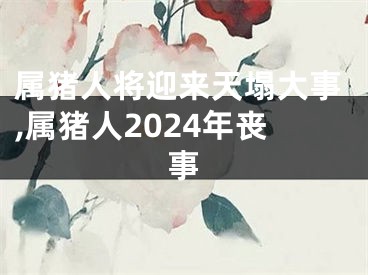 属猪人将迎来天塌大事,属猪人2024年丧事