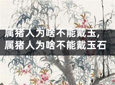 属猪人为啥不能戴玉,属猪人为啥不能戴玉石