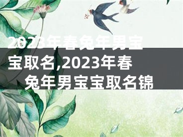 2023年春兔年男宝宝取名,2023年春兔年男宝宝取名锦