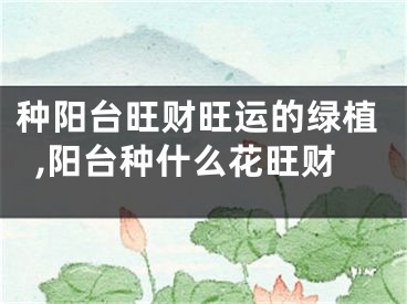 种阳台旺财旺运的绿植,阳台种什么花旺财