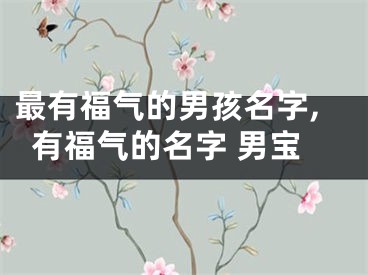 最有福气的男孩名字,有福气的名字 男宝