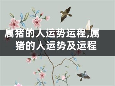 属猪的人运势运程,属猪的人运势及运程