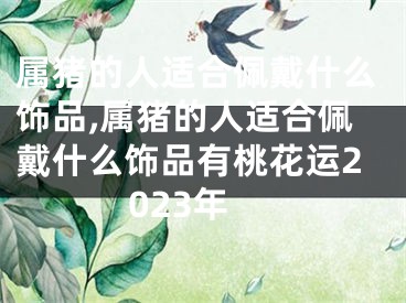 属猪的人适合佩戴什么饰品,属猪的人适合佩戴什么饰品有桃花运2023年