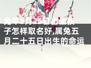 兔年5月25日出生孩子怎样取名好,属兔五月二十五日出生的命运