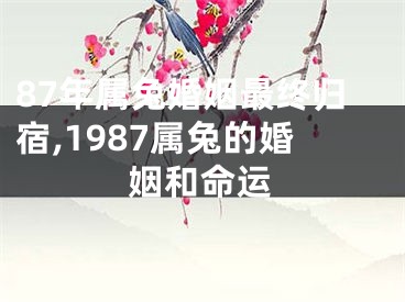 87年属兔婚姻最终归宿,1987属兔的婚姻和命运