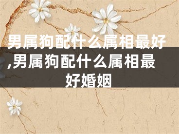男属狗配什么属相最好,男属狗配什么属相最好婚姻