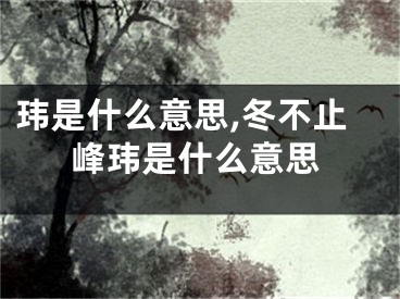 玮是什么意思,冬不止峰玮是什么意思