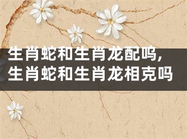 生肖蛇和生肖龙配呜,生肖蛇和生肖龙相克吗