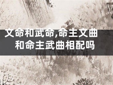 文命和武命,命主文曲和命主武曲相配吗