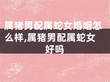 属猪男配属蛇女婚姻怎么样,属猪男配属蛇女好吗