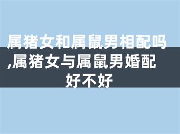属猪女和属鼠男相配吗,属猪女与属鼠男婚配好不好
