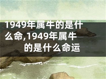 1949年属牛的是什么命,1949年属牛的是什么命运