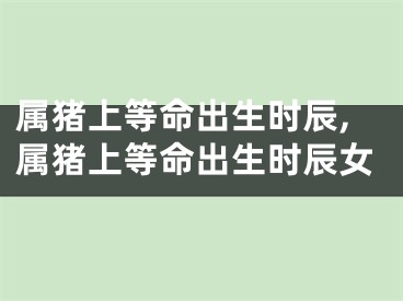 属猪上等命出生时辰,属猪上等命出生时辰女