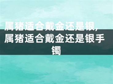属猪适合戴金还是银,属猪适合戴金还是银手镯