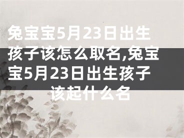 兔宝宝5月23日出生孩子该怎么取名,兔宝宝5月23日出生孩子该起什么名