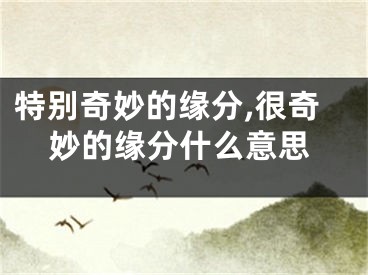 特别奇妙的缘分,很奇妙的缘分什么意思