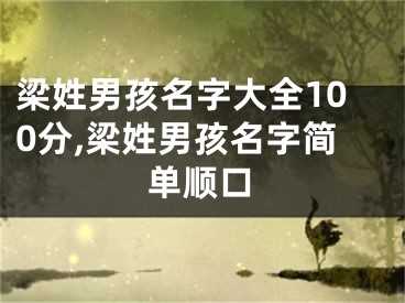 梁姓男孩名字大全100分,梁姓男孩名字简单顺口