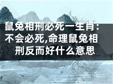 鼠兔相刑必死一生肖：不会必死,命理鼠兔相刑反而好什么意思