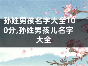 孙姓男孩名字大全100分,孙姓男孩儿名字大全