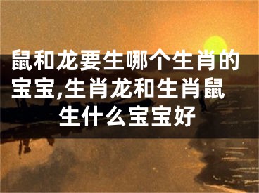 鼠和龙要生哪个生肖的宝宝,生肖龙和生肖鼠生什么宝宝好