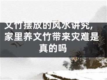 文竹摆放的风水讲究,家里养文竹带来灾难是真的吗