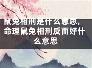 鼠兔相刑是什么意思,命理鼠兔相刑反而好什么意思