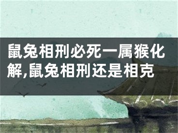 鼠兔相刑必死一属猴化解,鼠兔相刑还是相克