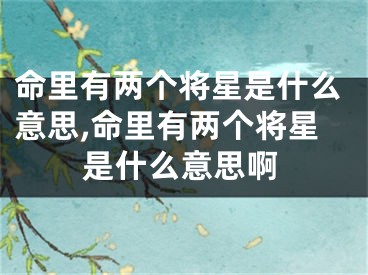 命里有两个将星是什么意思,命里有两个将星是什么意思啊