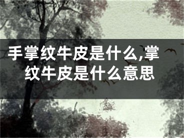 手掌纹牛皮是什么,掌纹牛皮是什么意思