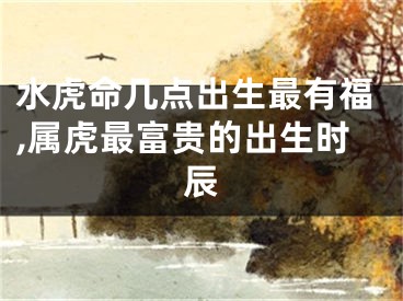 水虎命几点出生最有福,属虎最富贵的出生时辰