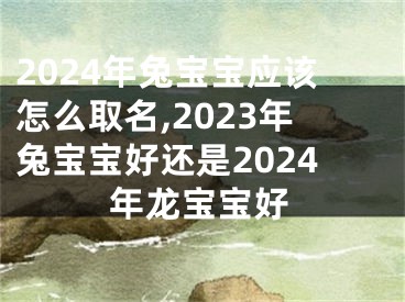 2024年兔宝宝应该怎么取名,2023年兔宝宝好还是2024年龙宝宝好