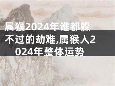 属猴2024年谁都躲不过的劫难,属猴人2024年整体运势