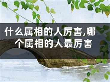 什么属相的人厉害,哪个属相的人最厉害