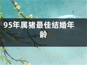 95年属猪最佳结婚年龄