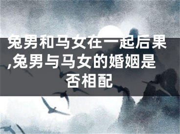 兔男和马女在一起后果,兔男与马女的婚姻是否相配