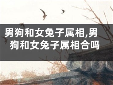 男狗和女兔子属相,男狗和女兔子属相合吗