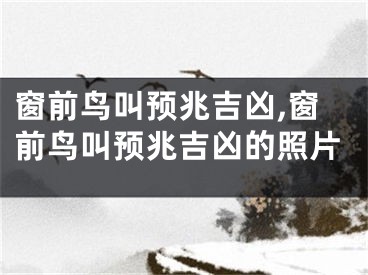 窗前鸟叫预兆吉凶,窗前鸟叫预兆吉凶的照片
