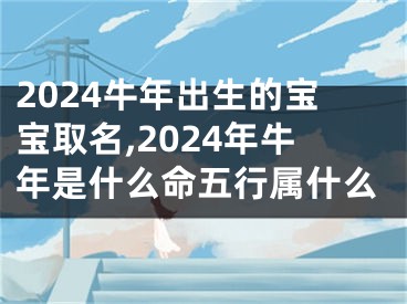 2024牛年出生的宝宝取名,2024年牛年是什么命五行属什么