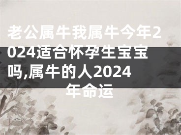 老公属牛我属牛今年2024适合怀孕生宝宝吗,属牛的人2024年命运