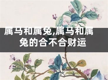 属马和属兔,属马和属兔的合不合财运