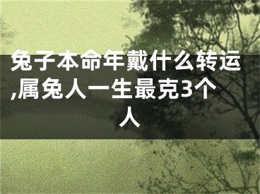 兔子本命年戴什么转运,属兔人一生最克3个人