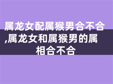 属龙女配属猴男合不合,属龙女和属猴男的属相合不合