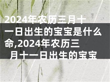2024年农历三月十一日出生的宝宝是什么命,2024年农历三月十一日出生的宝宝
