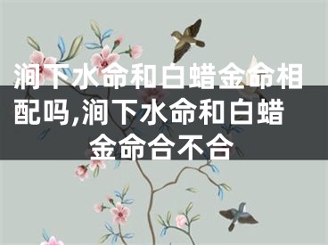 涧下水命和白蜡金命相配吗,涧下水命和白蜡金命合不合