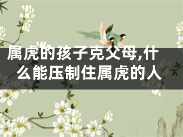 属虎的孩子克父母,什么能压制住属虎的人