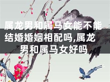 属龙男和属马女能不能结婚婚姻相配吗,属龙男和属马女好吗
