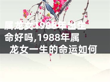 属龙女1988年出生命好吗,1988年属龙女一生的命运如何