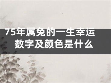 75年属兔的一生幸运数字及颜色是什么