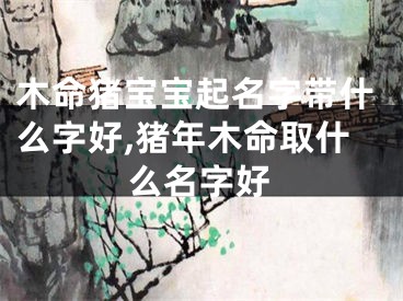 木命猪宝宝起名字带什么字好,猪年木命取什么名字好